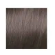 ELGON GET THE COLOR, 9/1 - SUPER LIGHT ASH BLONDE