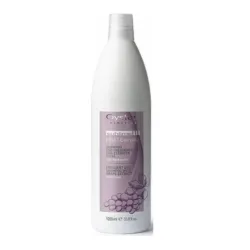 Oyster FRUIT SUBLIME Grape Extract Shampoo, 1000ml
