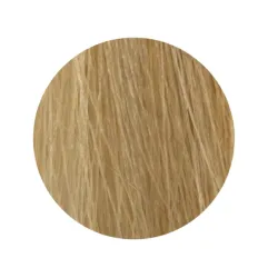 ETB Hair Permanent Color Cream - 11.00 - BLONDE ULTRA PLATINUM INTENSE NATURAL